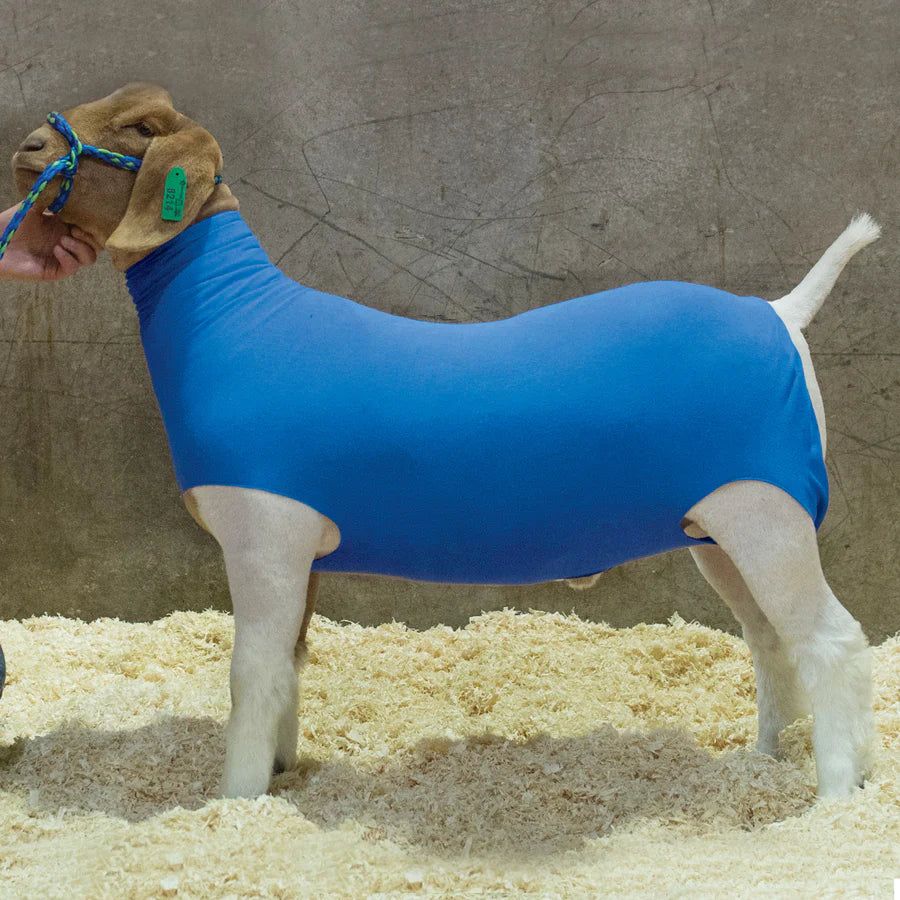 Cotton Goat Tube, Blue - L