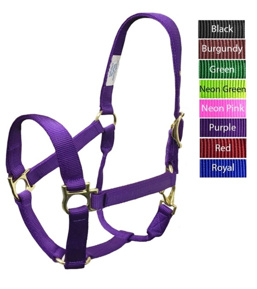 Sale! Valhoma Colt 200-300 lbs. Nylon Halter