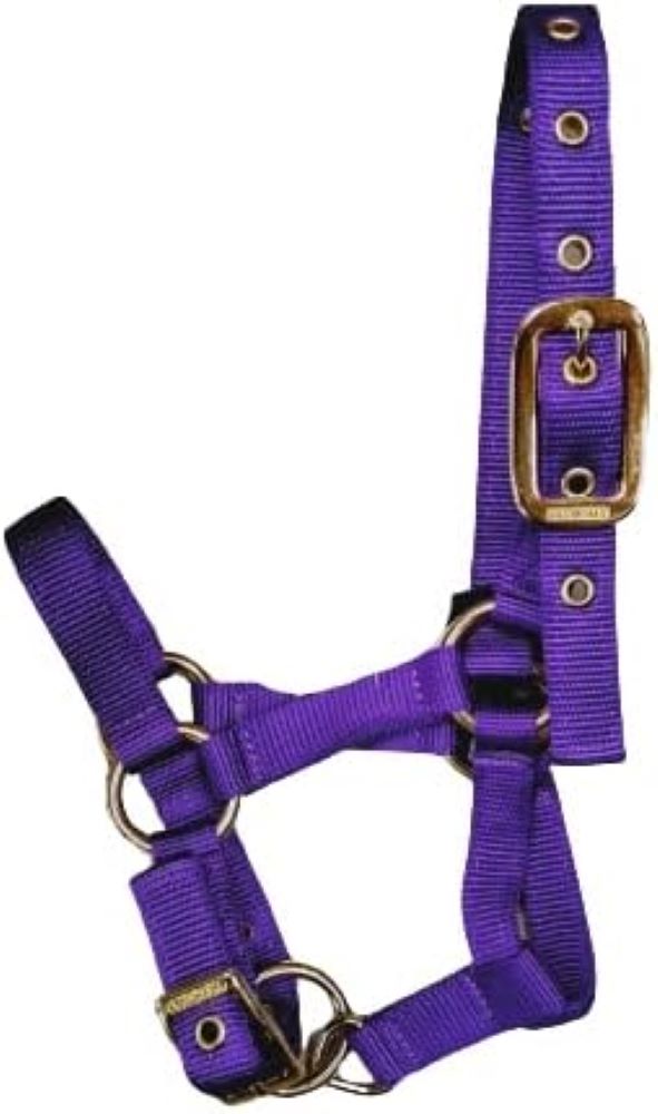 Valhoma Nylon Llama Halter Assorted Colors available