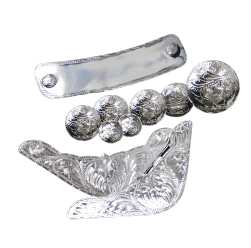 10 Piece Engraved Silver Trim Kit