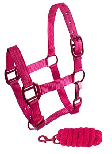 Showman  Pony Triple Ply Nylon Halter & Lead Rope