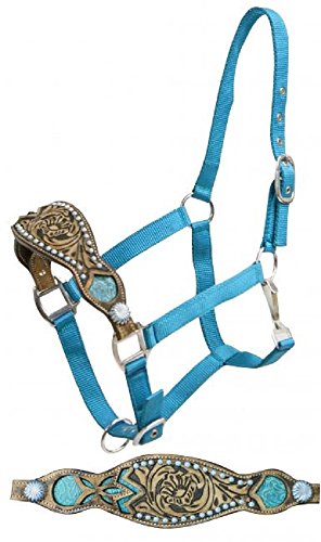 Full Size Teal Nylon Bronc Halter w/ Alligator print