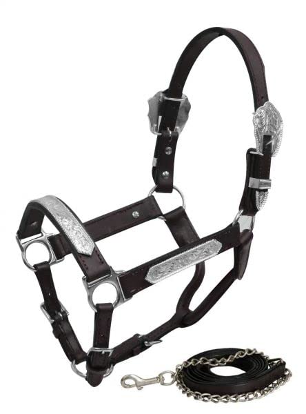 Showman Yearling Dark Oil Show Halter With Silver Engraved Plates