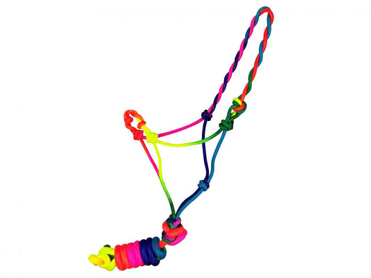 Mini Miniature Horse Rainbow Rope Halter