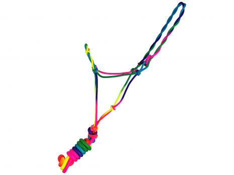 Pony Size Rainbow Rope Halter