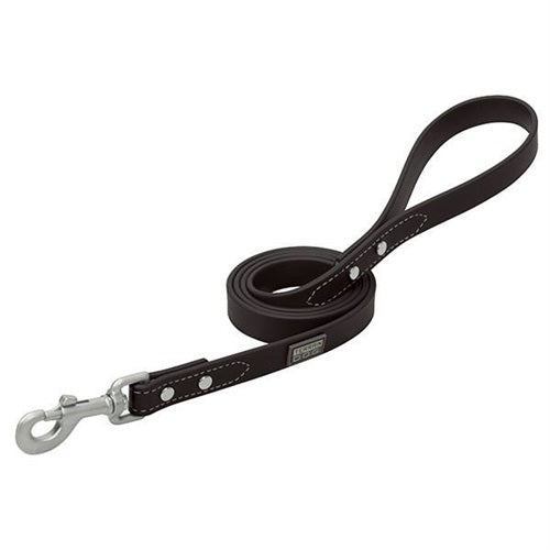 X-Treme Adventure Dog Leash 6'