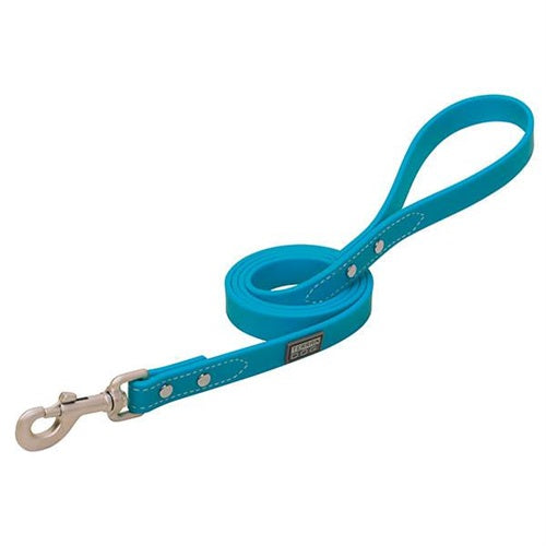 X-Treme Adventure Dog Leash 6'