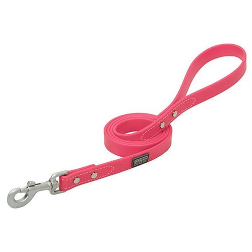 X-Treme Adventure Dog Leash 6'