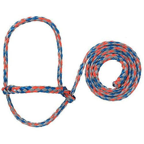 4' foot Poly Rope Sheep Halter
