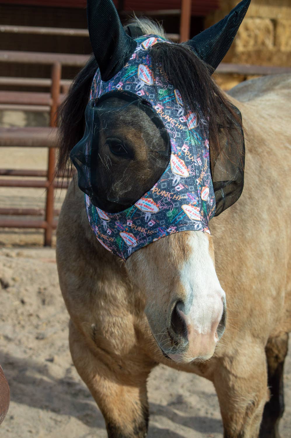 Schulz Equine Fly Mask