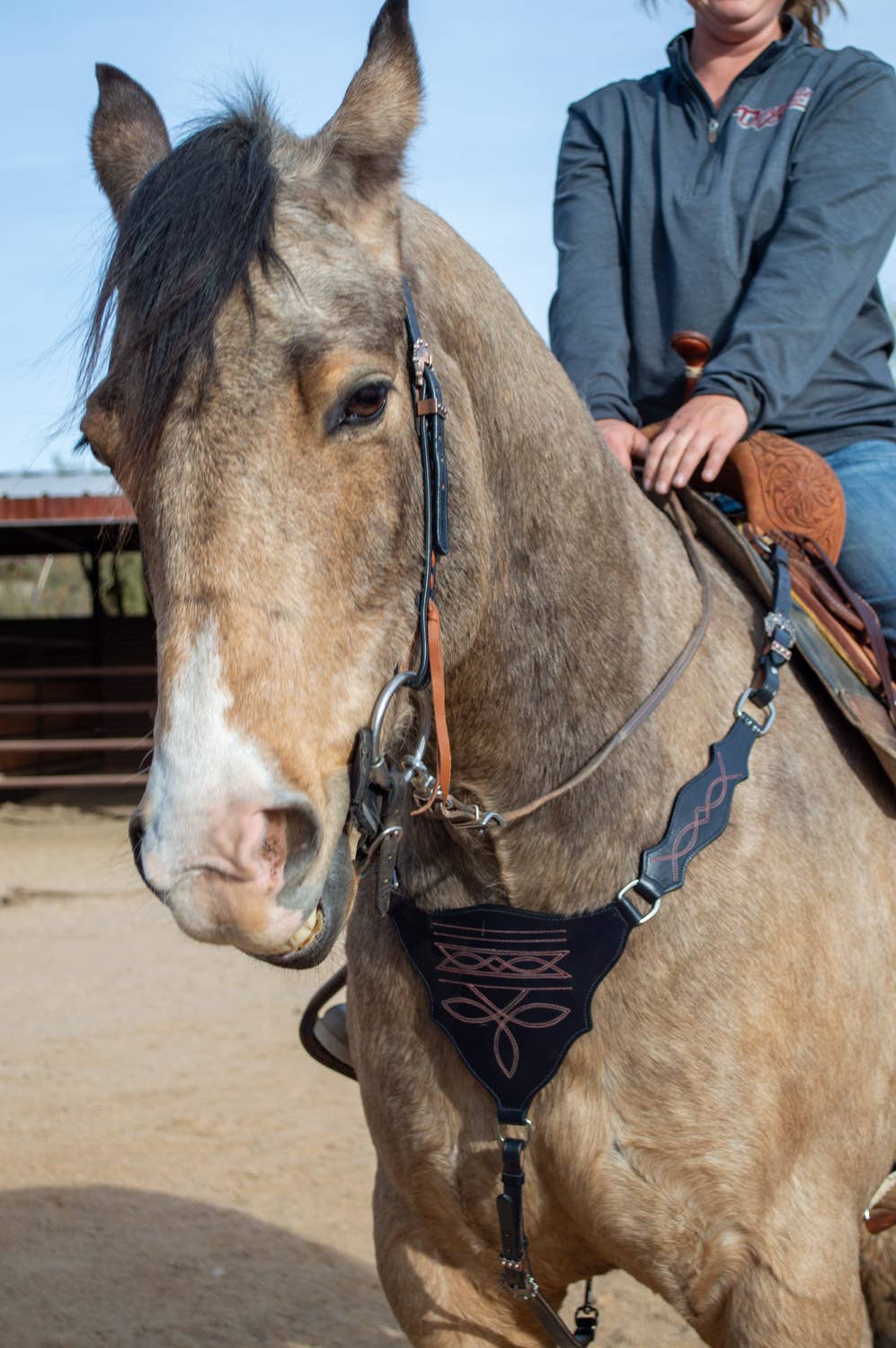 Schulz Navy Boot Stitch Headstall and Breast Collar Set