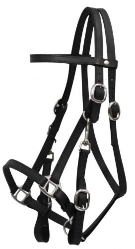 Leather Halter Bridle Combo