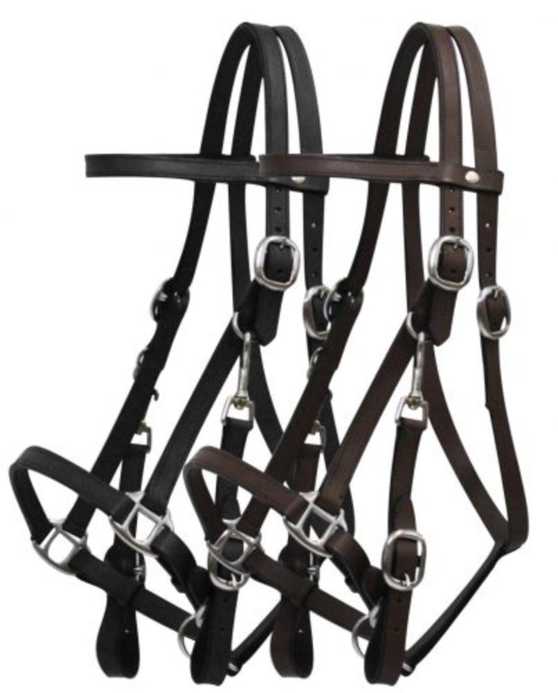 Leather Halter Bridle Combo