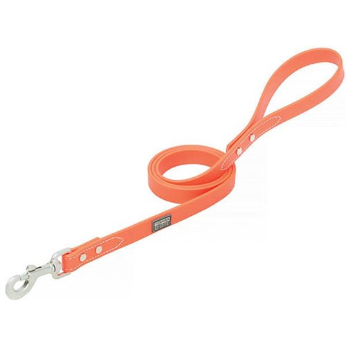 X-Treme Adventure Dog Leash 6'