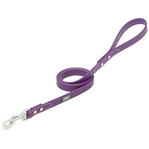 X-Treme Adventure Dog Leash 6'
