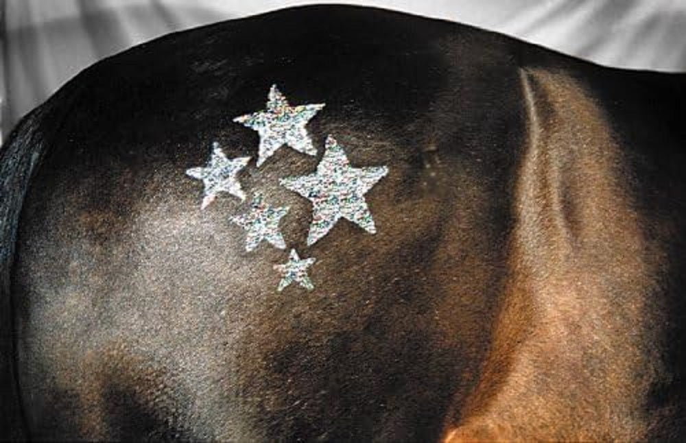 Twinkle Glitter Stencil Kit For Horses