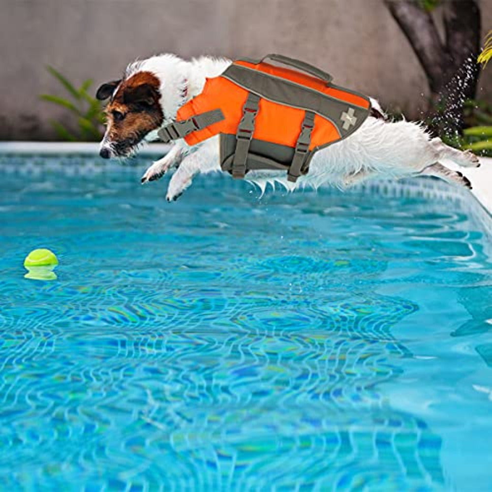 Top paw neoprene 2025 life jacket