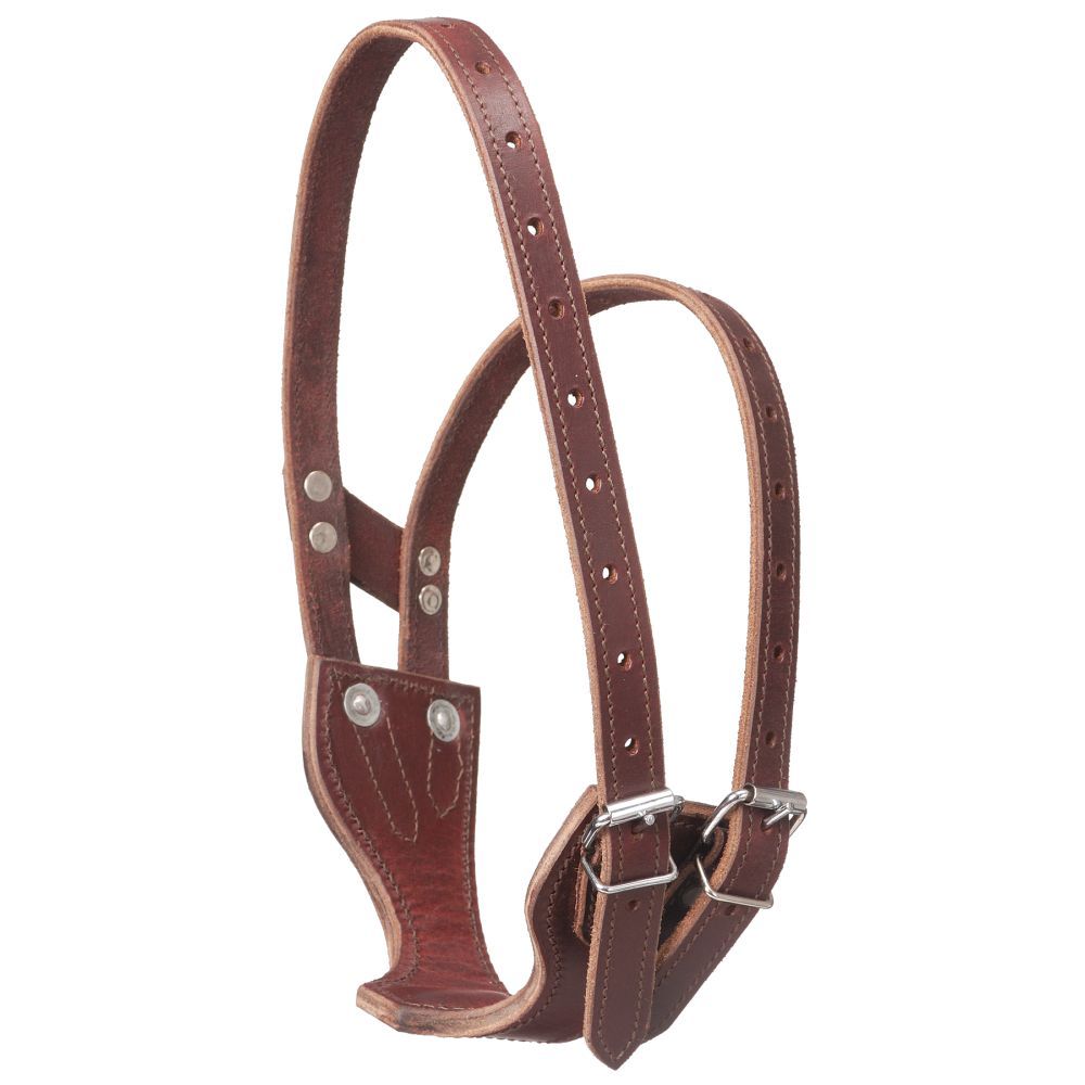 Leather Crib-Be-Gone Comfort Cribbing Collar