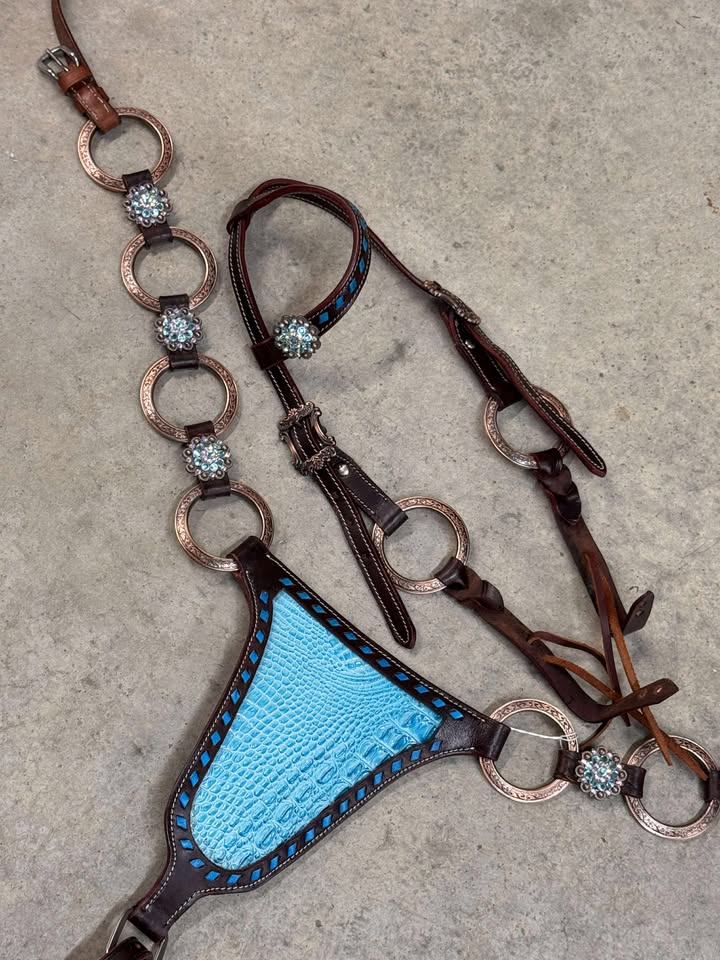 Custom Gladiator Breast Collar With Matching Headstall