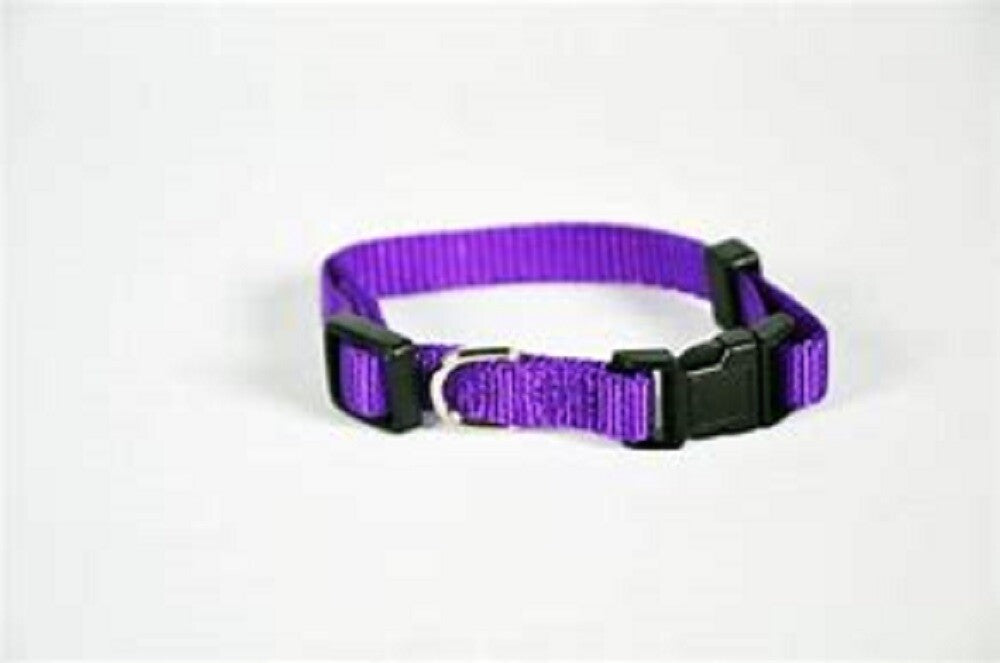 Valhoma adjustable Quick Fit Dog Collar
