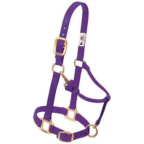 Weanling size Original Adjustable Chin and Throat Snap Halter