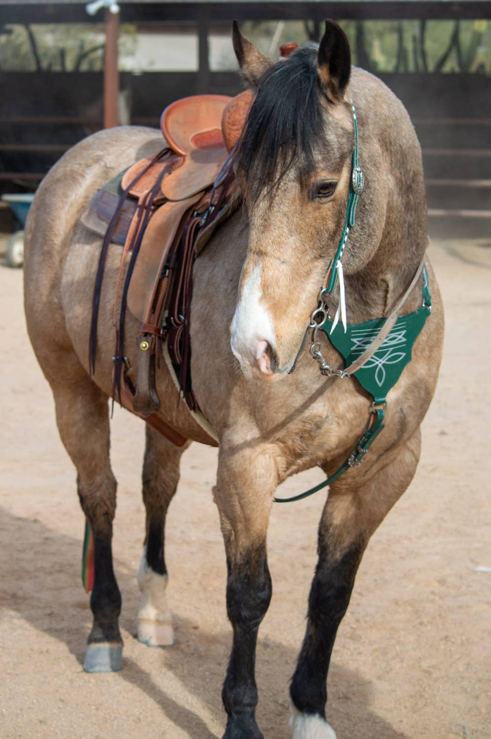 Schulz Green Boot Stitch Headstall and Breast Collar Set