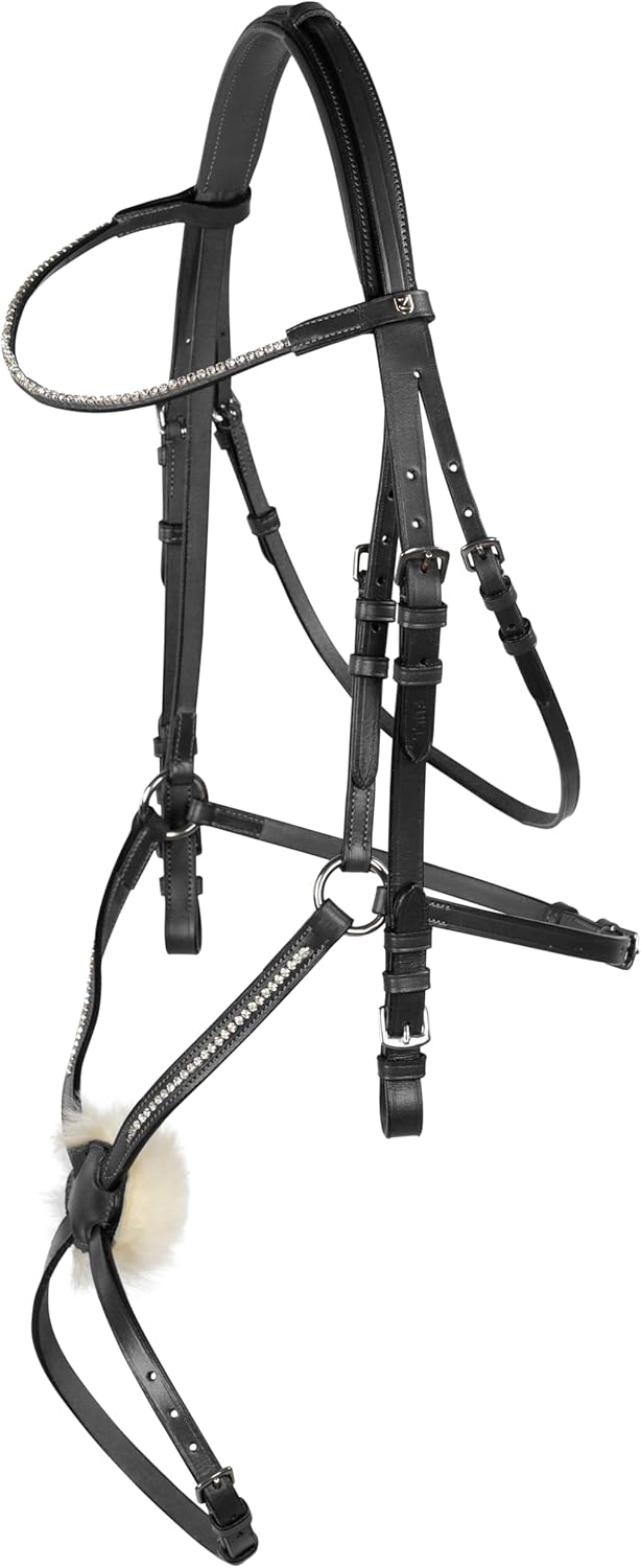Valencia Figure 8 Bridle Average Horse Size