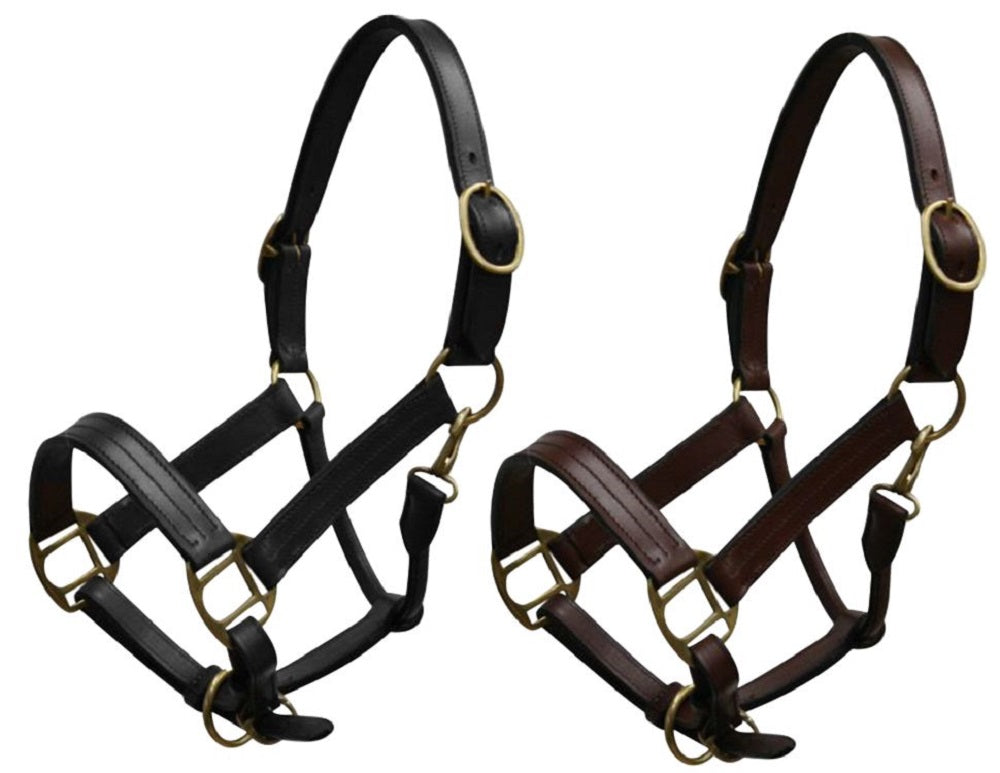 Pony or Yearling size Leather Halter