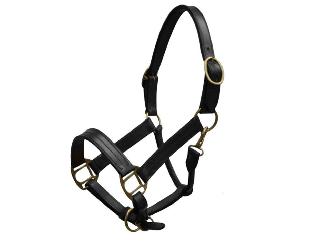 Pony or Yearling size Leather Halter