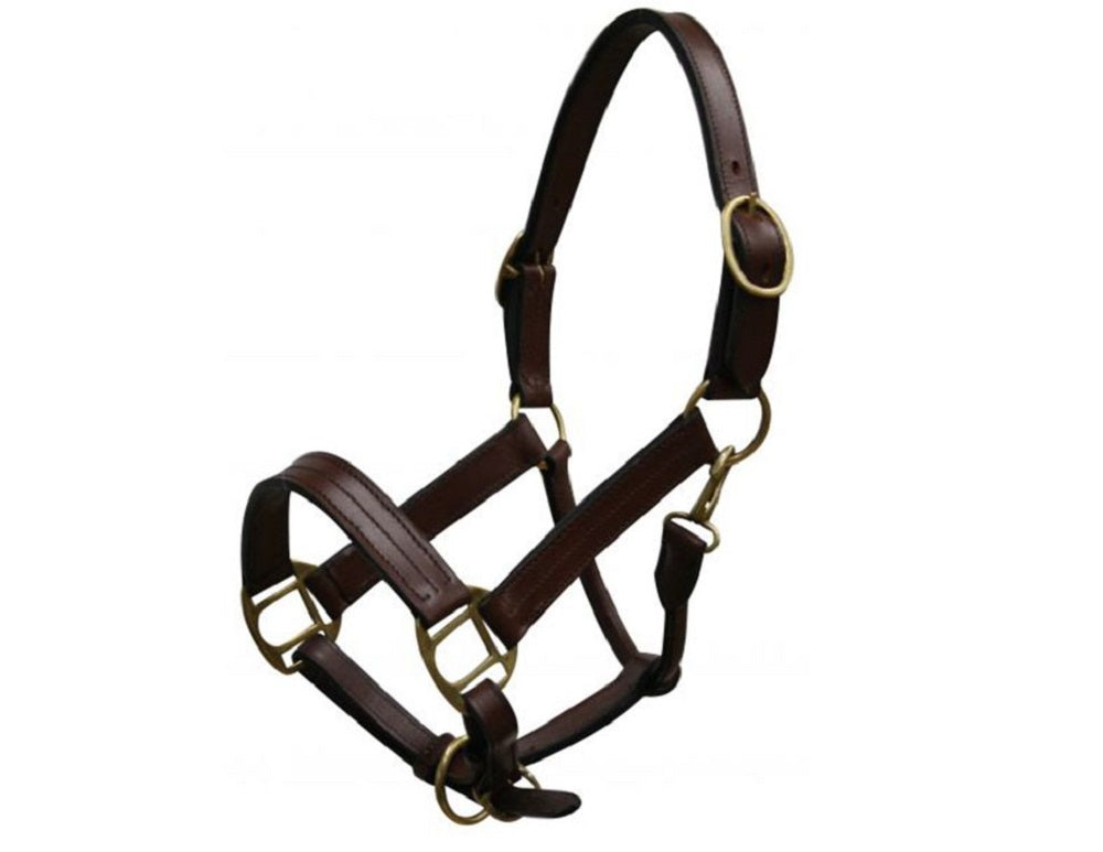 Pony or Yearling size Leather Halter