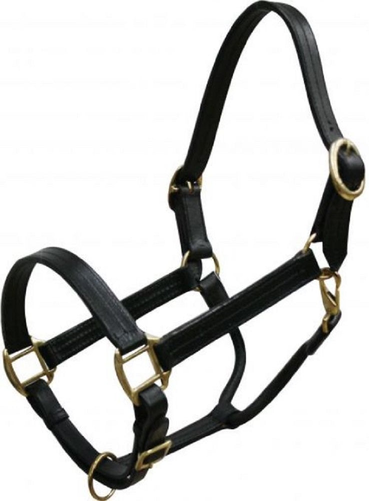 Horse size Leather Halter, Color choice