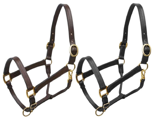 Large Leather Halter w/ Brass Hardware (1100-1600 lbs.)