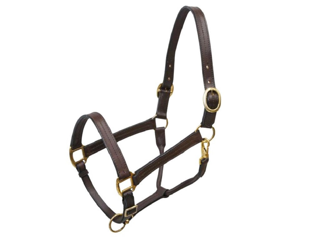 Large Leather Halter w/ Brass Hardware (1100-1600 lbs.)