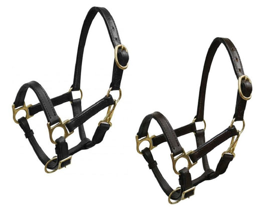 Weanling Horse Black or Dark Oil Leather Halter