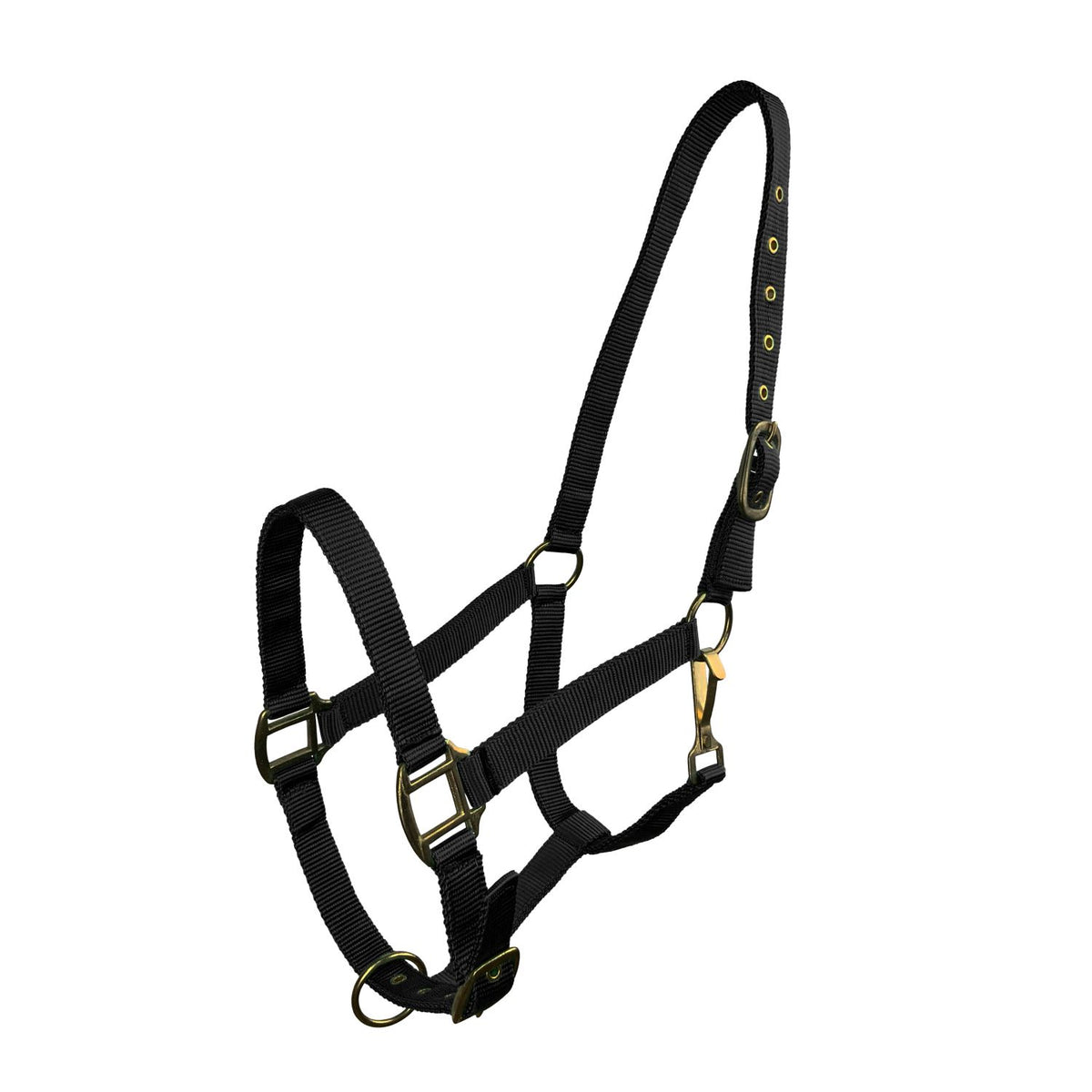 Horse Size Triple Ply Nylon Halter with Brass Hardware
