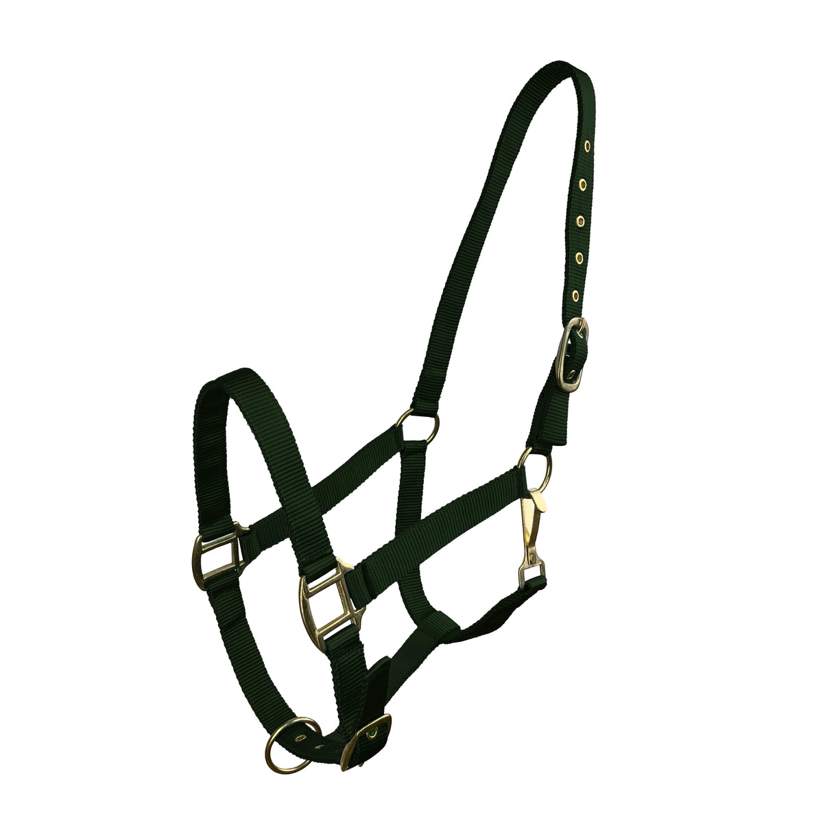Horse Size Triple Ply Nylon Halter with Brass Hardware