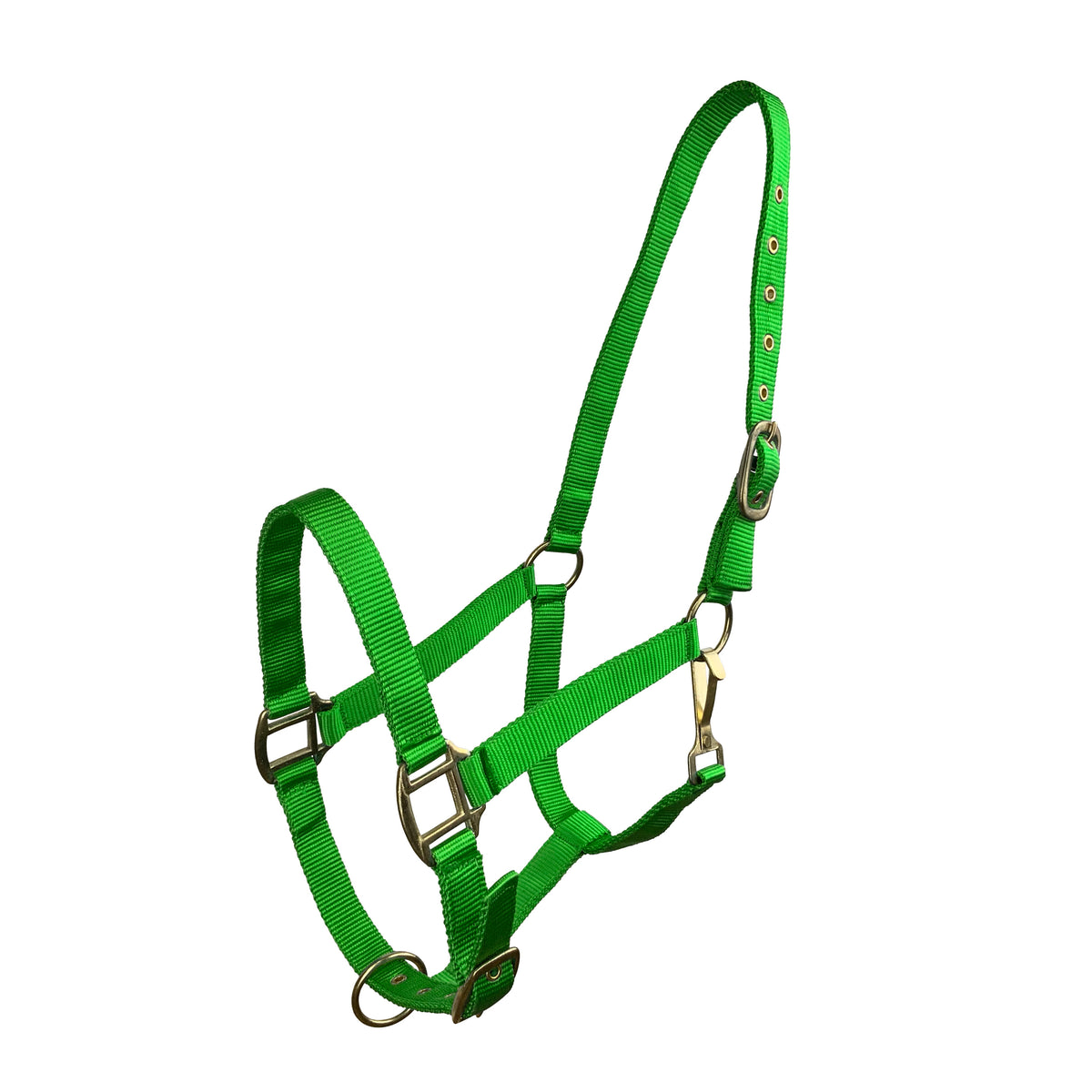 Horse Size Triple Ply Nylon Halter with Brass Hardware