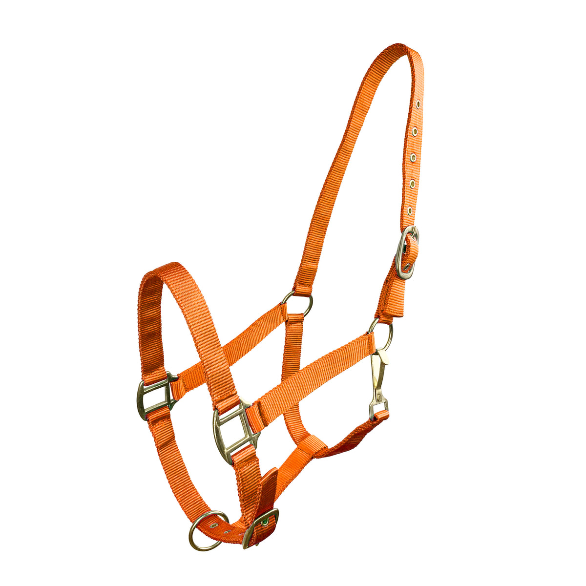 Horse Size Triple Ply Nylon Halter with Brass Hardware