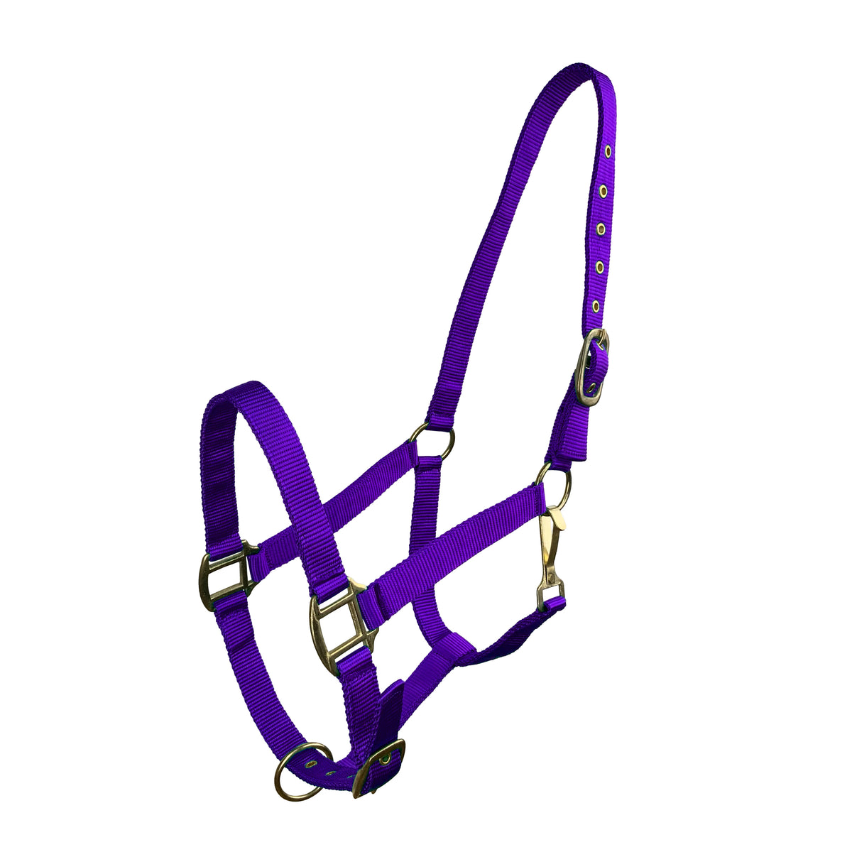 Horse Size Triple Ply Nylon Halter with Brass Hardware