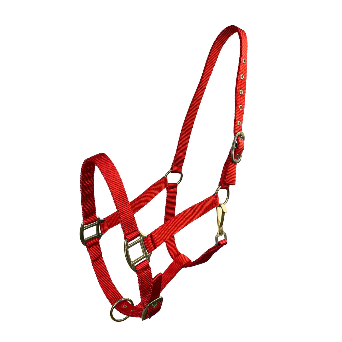 Horse Size Triple Ply Nylon Halter with Brass Hardware
