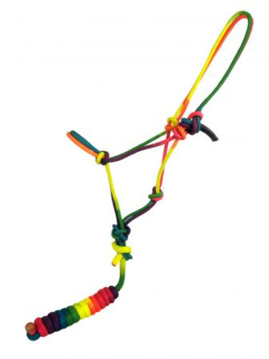 Showman Rainbow Knotted Rope Halter & Lead