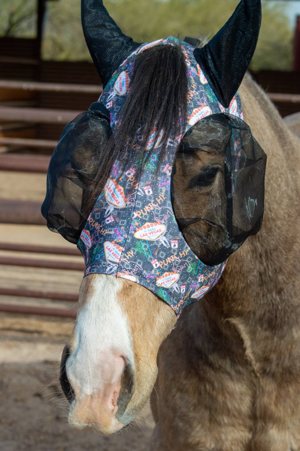 Schulz Equine Fly Mask