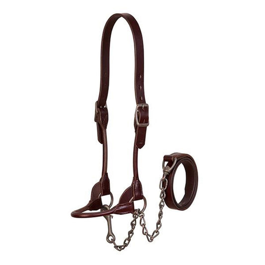 Brown Bombshell Leather Cow Show Halter