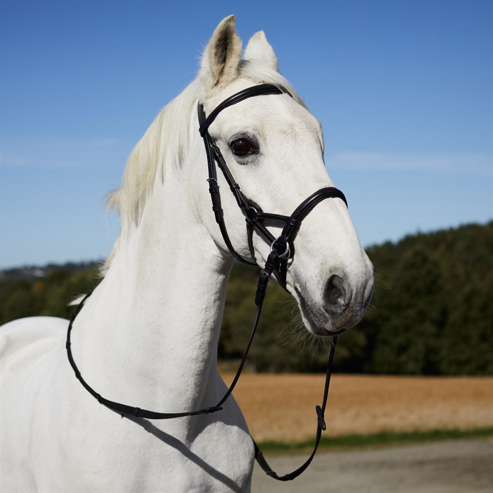 Horze Horse size Black 'Denver' Bitless English Bridle