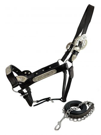 Horse size Dark Oil Show Halter w/ 6' Lead