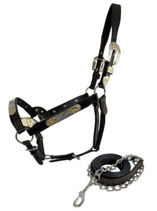 Dark Oil Horse leather double stitched silver bar with gold accents show halter