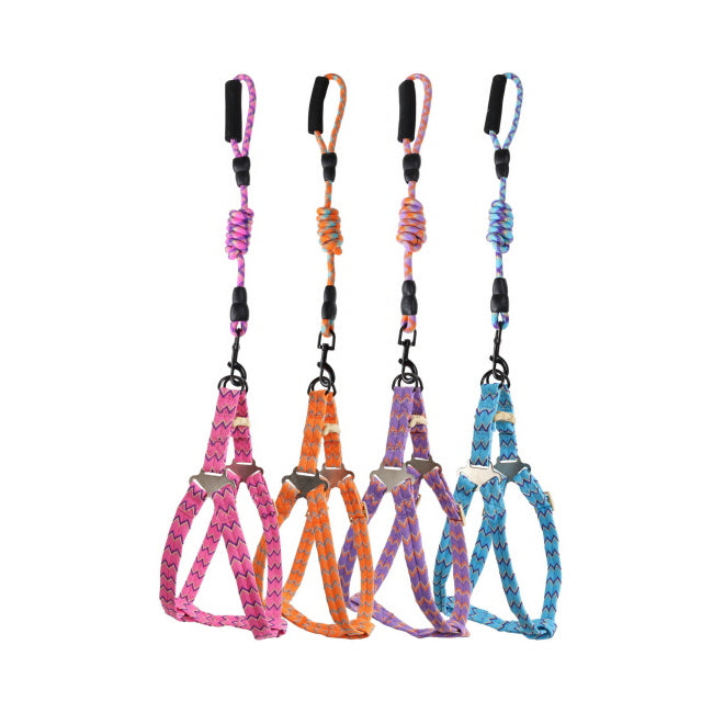 Zig-Zag Dog Harness and Leash Set - Small
