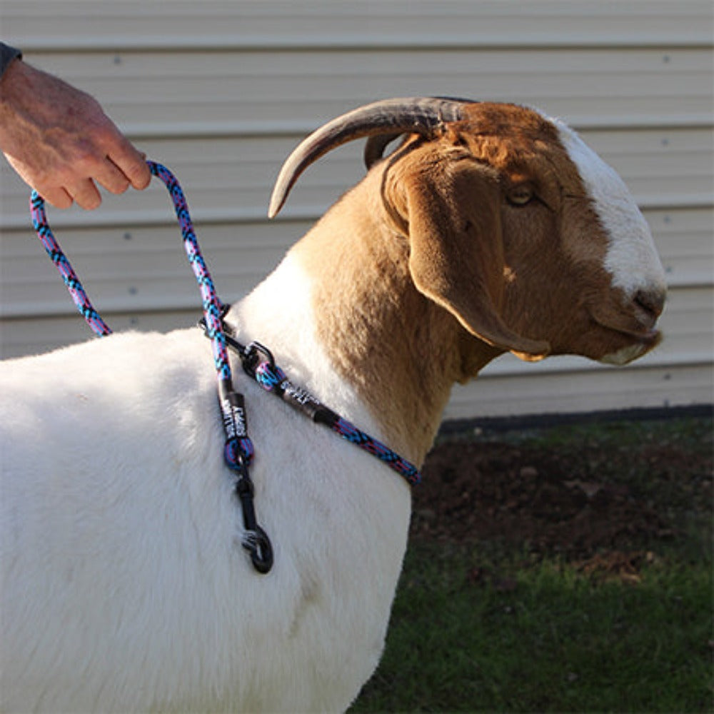 Goat Neck Tie Halter w/ Snap Lead