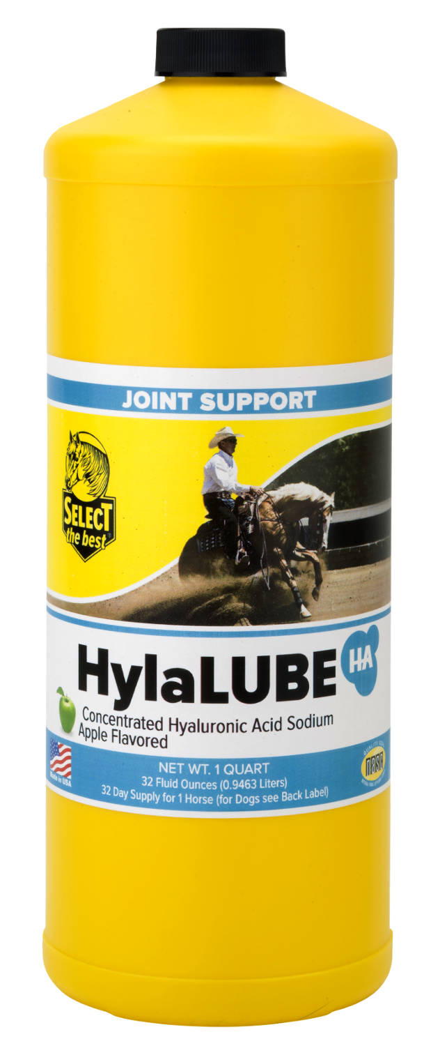 HylaLUBE Joint Supplement for Horses and Dogs Quart 32 oz.