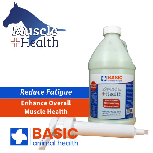 MuscleHealth Gel Supplement for Horses - 60 oz Bottles